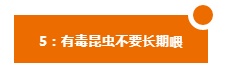 养龙常识：你所忽略的龙鱼9不喂