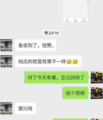 血墨红龙安全到达福建漳州