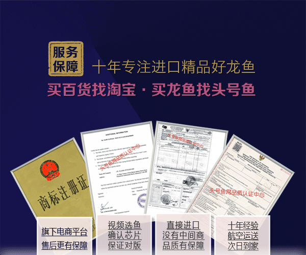 血墨红龙0_01.gif